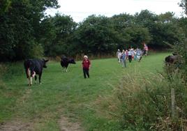 Olsok08_4(field_near-Shotwick)