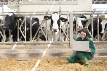 Centre for Dairy Science Innovation