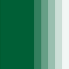 Sample Forest green colour