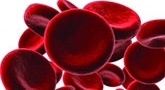Haematology+blood-cancers_165sq