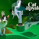 Worlds for Robots, Cats, and Humans wins Best Paper at the ACM CHI Conference