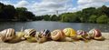 Pink or brown? Humans struggle to identify snail shell shades, but technology reveals their true colours