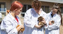Nottingham Veterinary School ranked top for overall student satisfaction