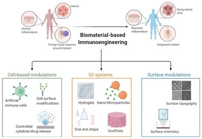 Biomaterial-based Immunoengineering - Graphical Abstract