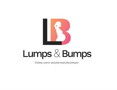 Lumps and bumps logo