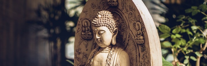 Buddhist statue with plants
