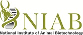 Picture of the National Institute of Animal Biotechnology logo