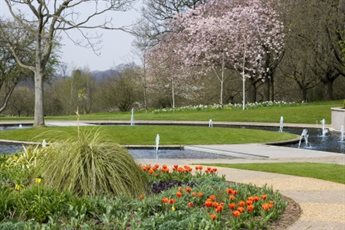 Spring blossom - University Park