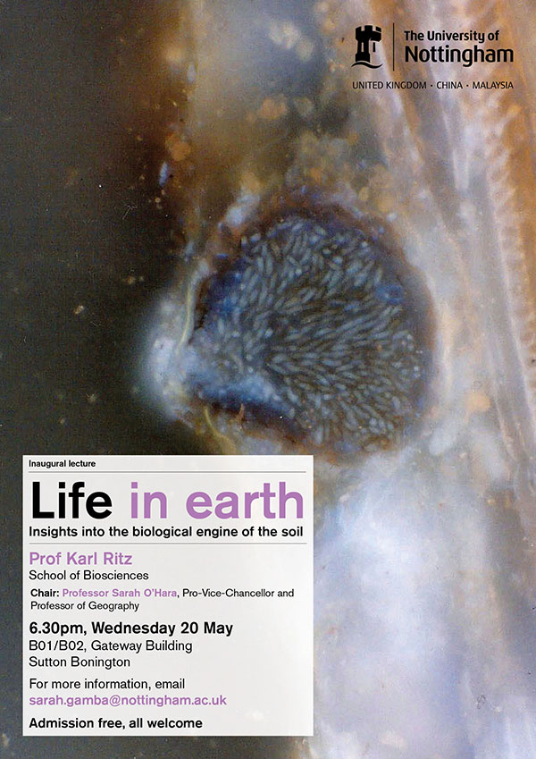 Life in earth: insights into the biological engine of the soil