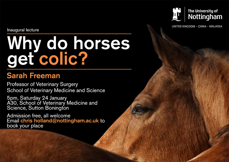 Why do horses get colic?