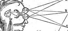 A line-drawn depiction of the inside of a person's head with various letters and lines, including from the eyes and nose