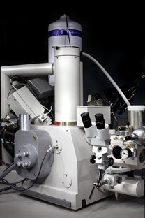 Scanning Electron Microscopy with cryo-handling capabilities
