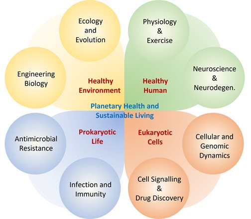 SoLS Research Priorities
