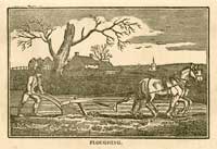 Illustrations of ploughing and reaping