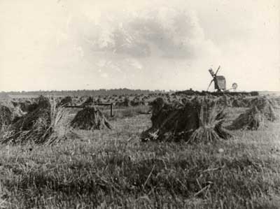 Copy photograph of Laxton Mill, c.1914