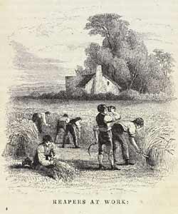 Illustration showing reapers in a field, with another man bundling up the hay, published in 1847