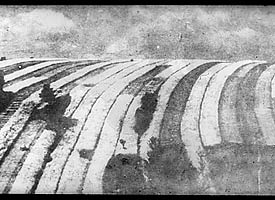 Slide showing strips in an open field, in different stages of cultivation, 20th century