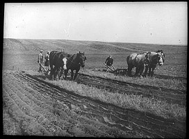 Slide showing ploughing with horses at Laxton, c.1930s