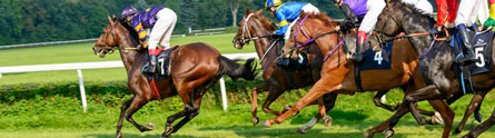 Racehorse-PR