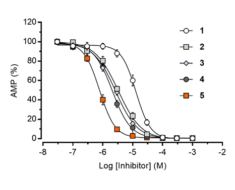 Inhibition of the CNOT7 ribonuclease evaluated by a biochemical assay
