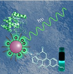 A nano-tool for the detection of proteases