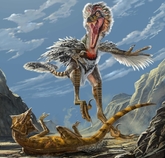Sinornithosaurus millenii