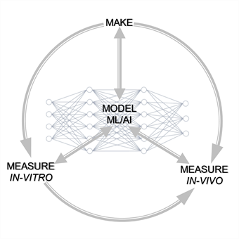 Schematic of the MODEL work package