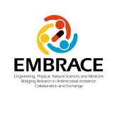 Embrace_logo_vertwebready