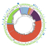Circular Diagram of a Genome mapped out