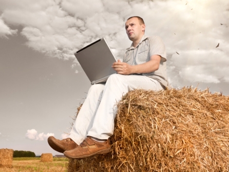 Man sitting on a straw bale with a laptop