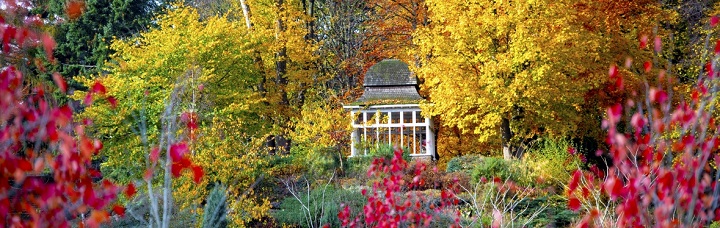Lenton Firs Rock Garden during autumn, University Park