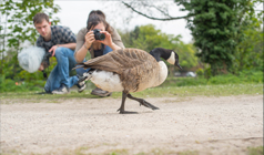 Zoology BSc - The University of Nottingham