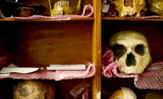 Shelves holding a collection of old human bones and skulls