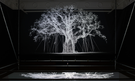 Multimedia exhibit of ghostly white tree in dark room