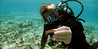 Diver in full gear underwater holds up a piece of pottery to the camera (photo).