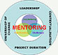 ePioneers mentoring process model