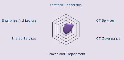 Strategic Leadership Maturity Model