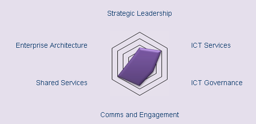 Strategic Maturity Model
