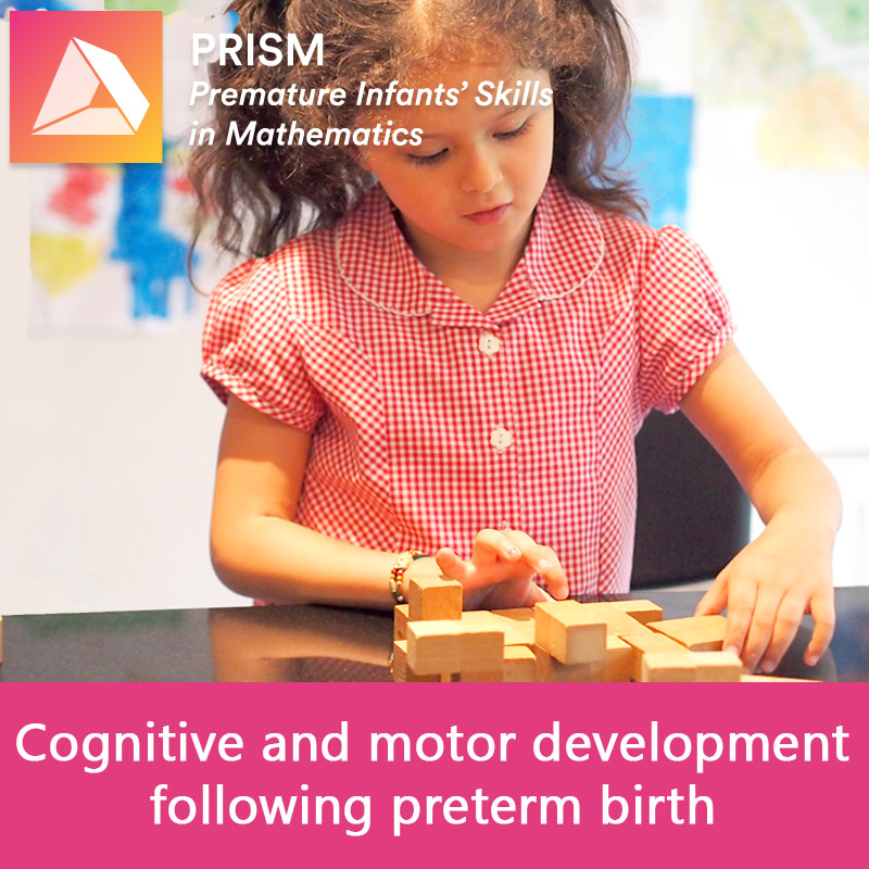 Cognitive and motor development following preterm birth