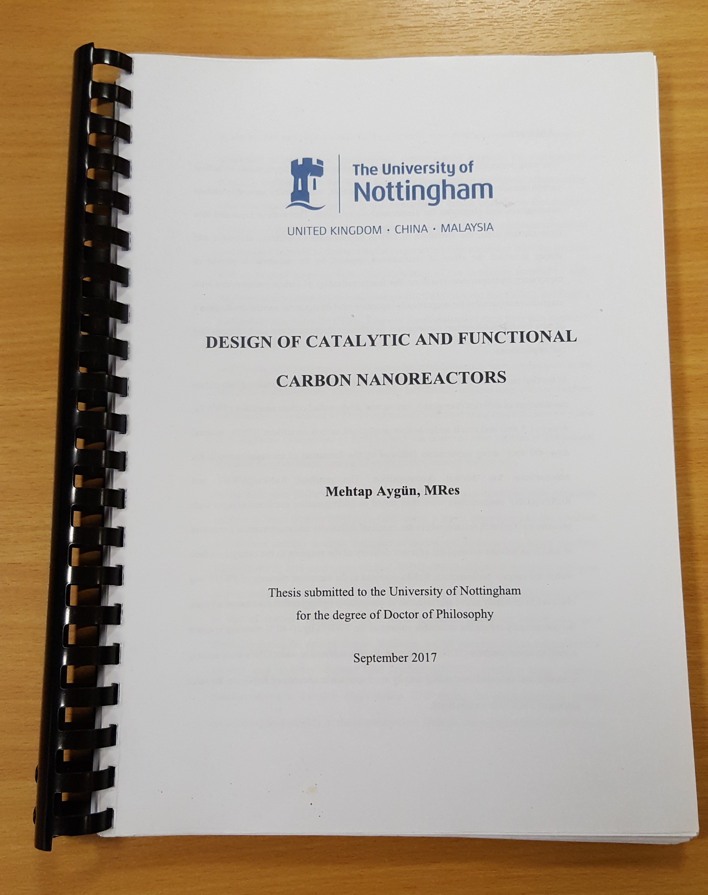 Mehtap's Thesis