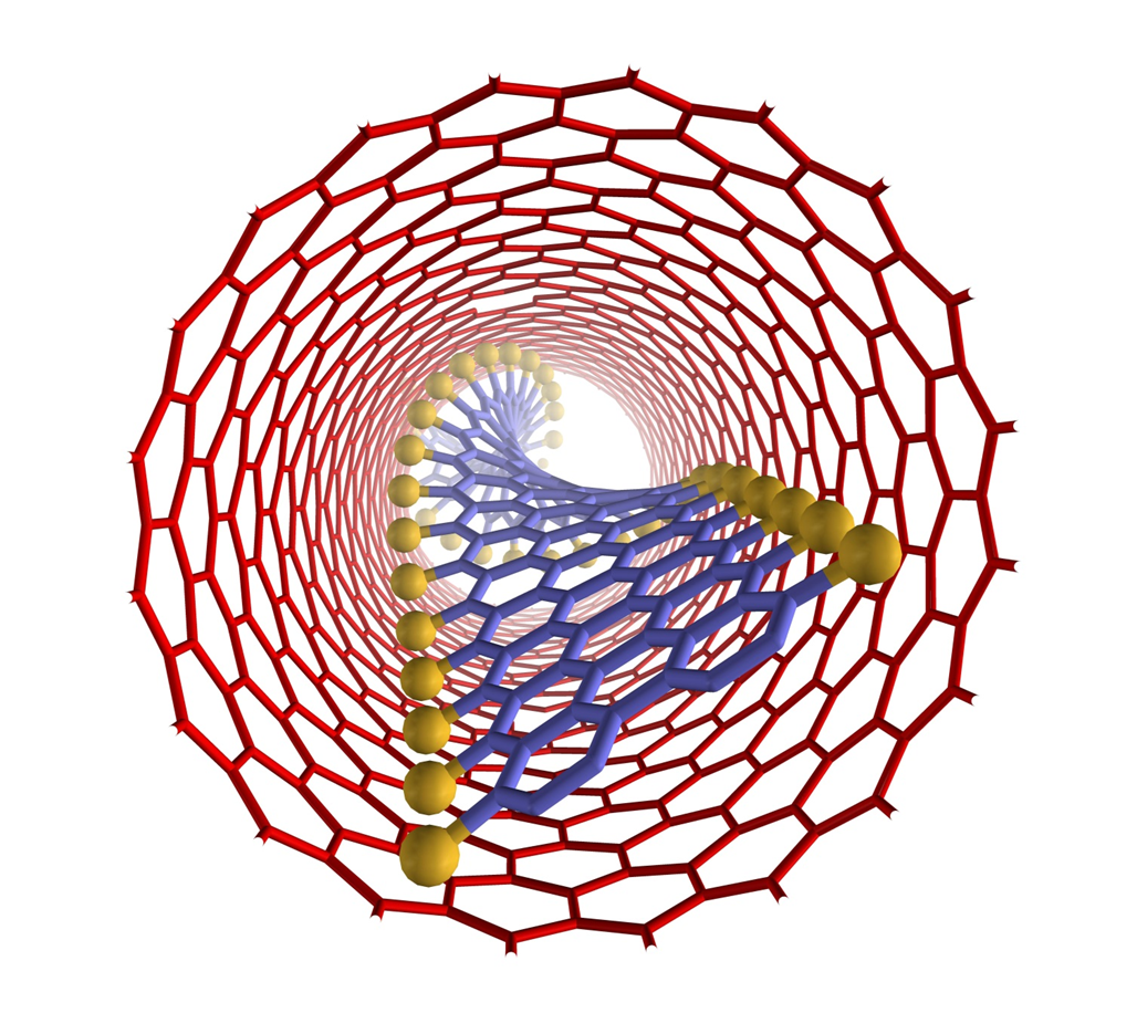 Nanoribbon inside Nanotube