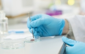 Researcher working with hydrogel drug delivery. A close up of a man wearing blue gloves holding a scalpel into a petri dish