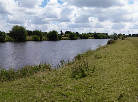 Photograph of a grassy bank next to a river on a sunny cloudy day