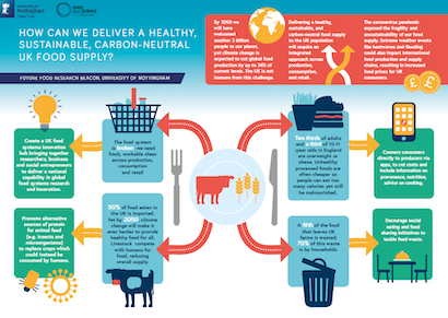 Edit of UK food supply infographic