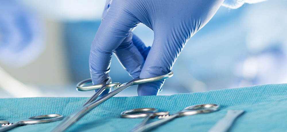 Veterinary surgeon using surgical tools