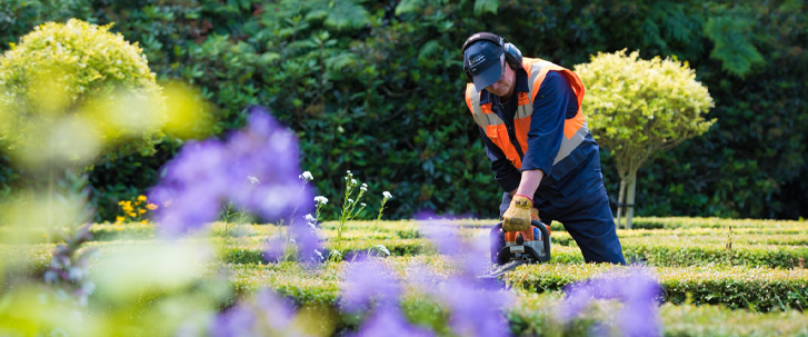 VC Blog - Thank you to staff - Mar20