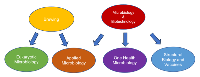 Microbiology themes