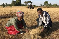 rsz_2017-11-21_170105