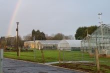 Plant and Crop Growth facilities