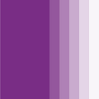 Sample Civic purple colour